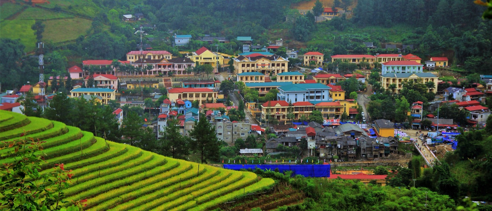 Rice terraces